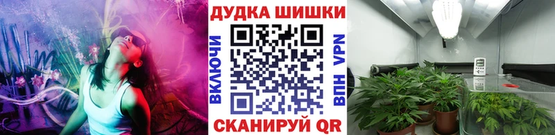 МАРИХУАНА семена  продажа наркотиков  Малая Вишера 
